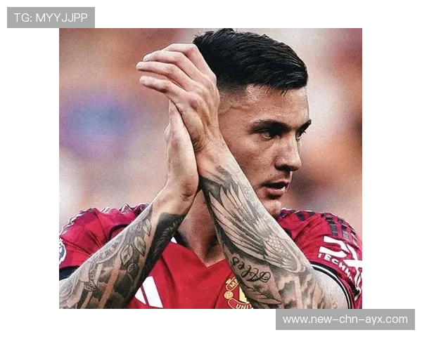 谢什科或将影响战绩影响解读走向